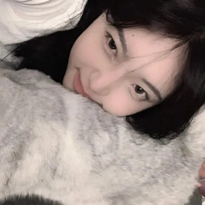 摇滚藏獒蓝色光芒